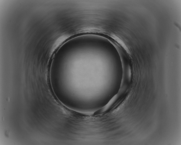 X0000091901277200709051355