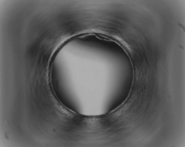 X0000091901278200709051355