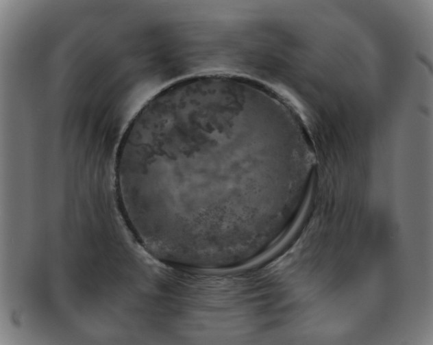 X0000091901279200709051355