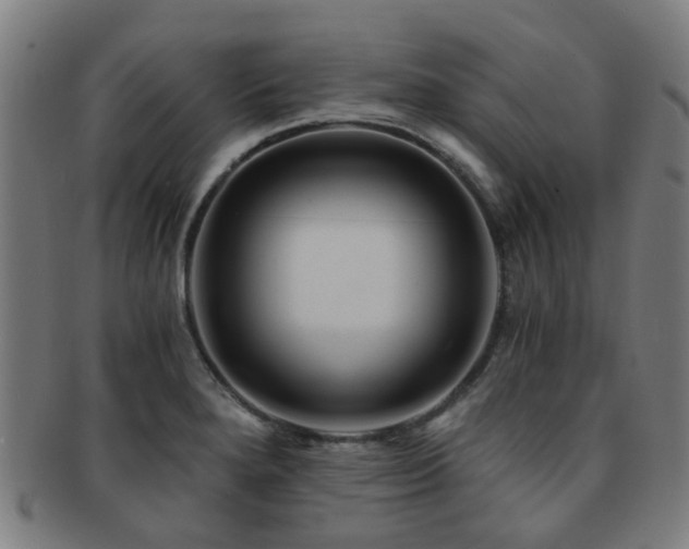 X0000091901280200709051355