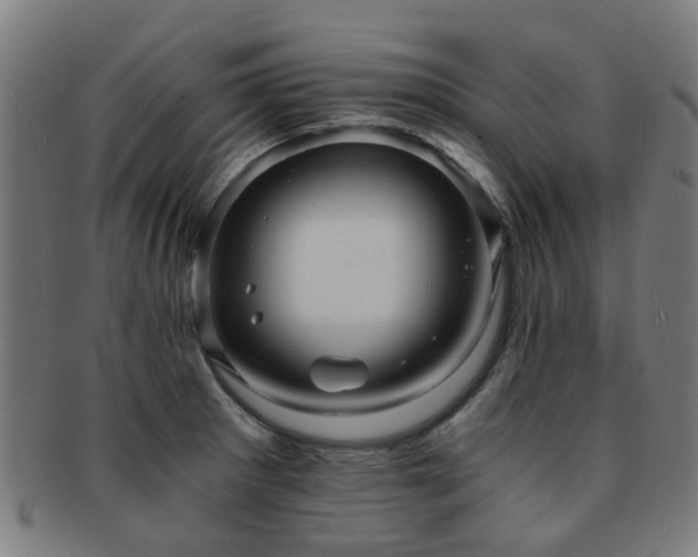 X0000091901281200709051355