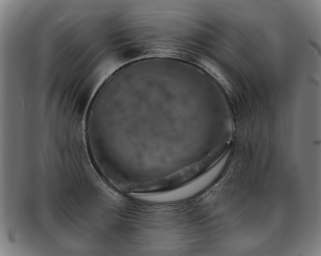 X0000091901283200709051355