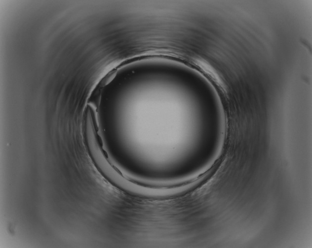 X0000091901284200709051355