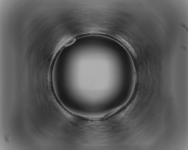 X0000091901285200709051355