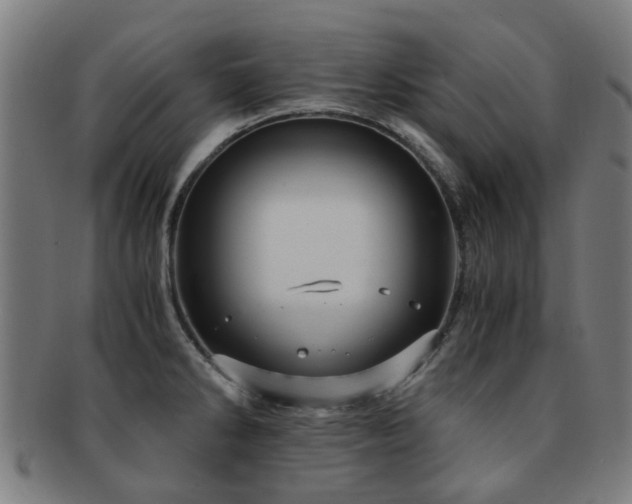 X0000091901286200709051355