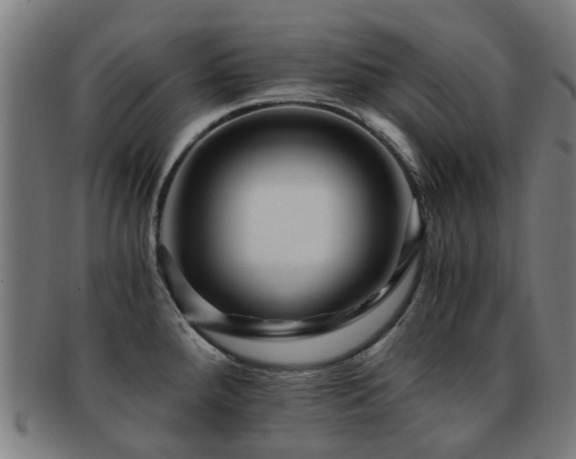 X0000091901288200709051355