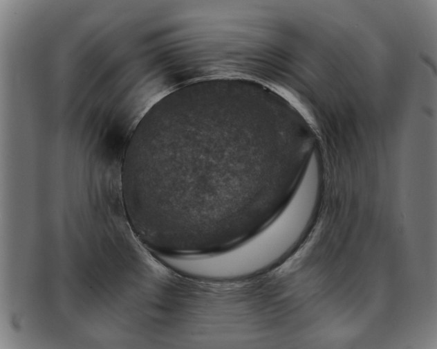 X0000091901289200709051355