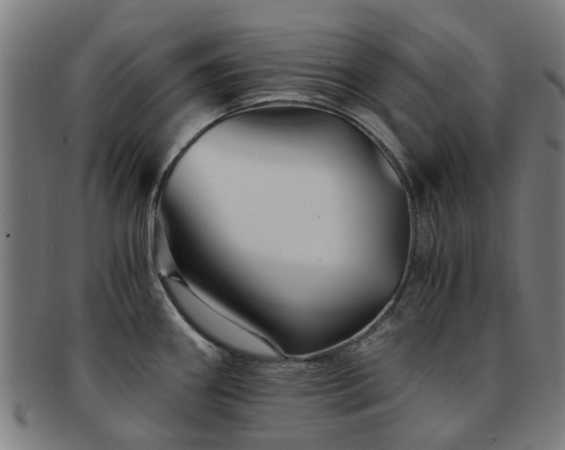 X0000091901290200709051355