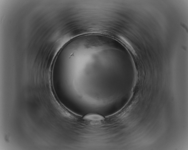 X0000091901291200709051355