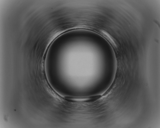 X0000091901292200709051355