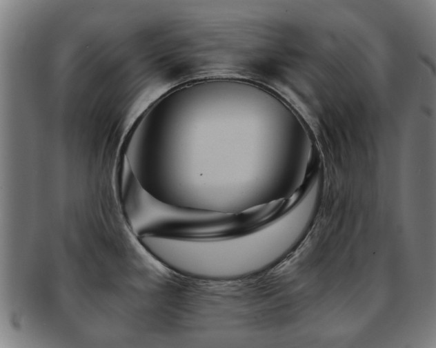 X0000091901293200709051355