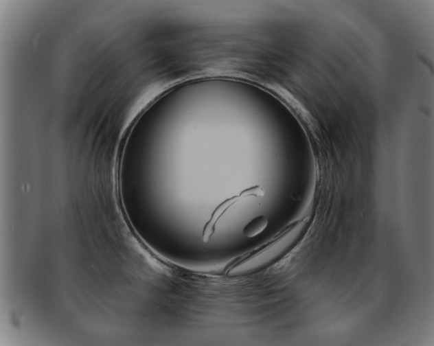 X0000091901294200709051355