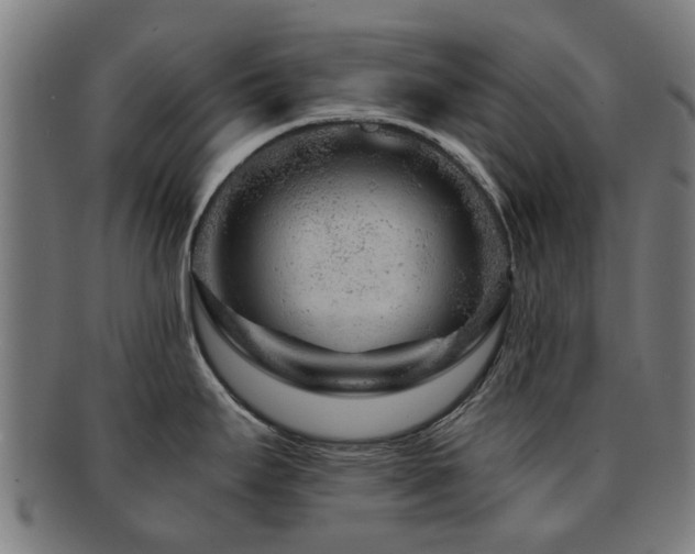 X0000091901295200709051355