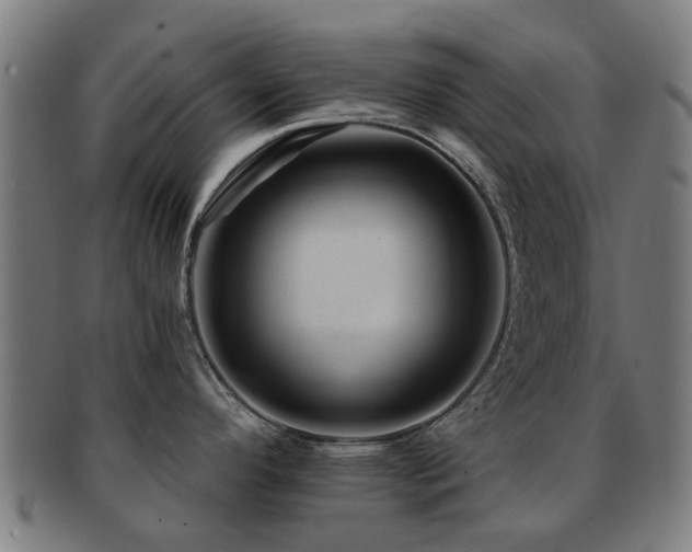 X0000091901296200709051355