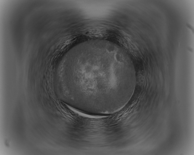X0000091901297200709051354