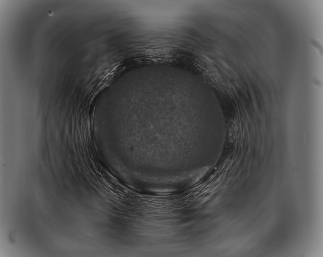 X0000091901298200709051354