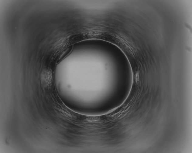 X0000091901299200709051354