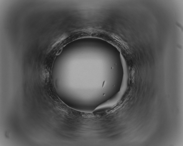 X0000091901302200709051355
