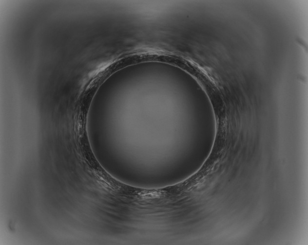 X0000091901303200709051355