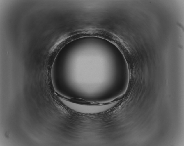 X0000091901304200709051355