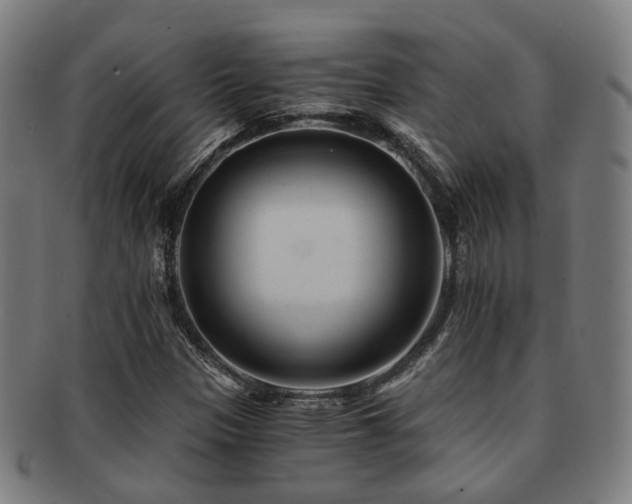 X0000091901305200709051355