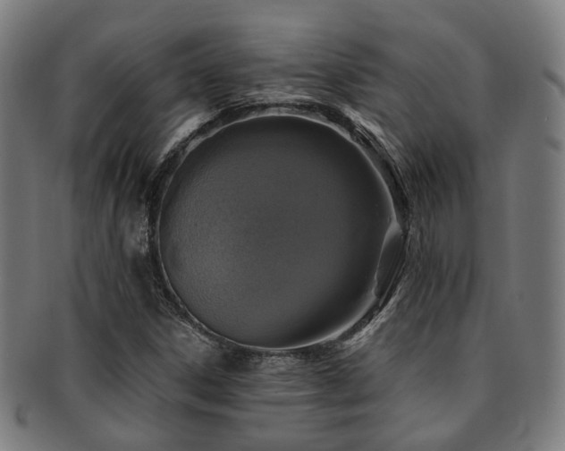 X0000091901306200709051355