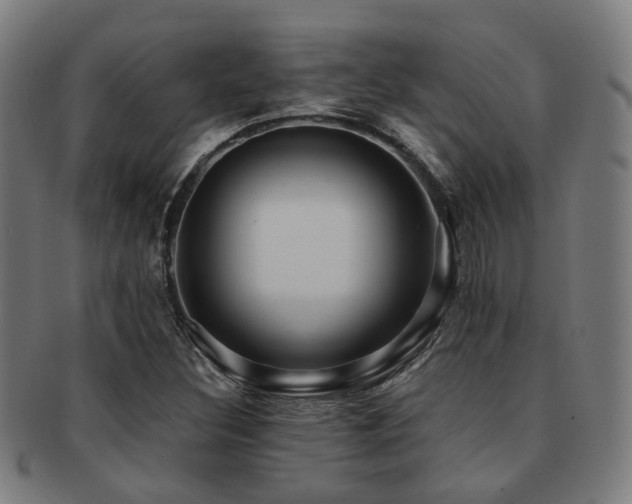 X0000091901308200709051355