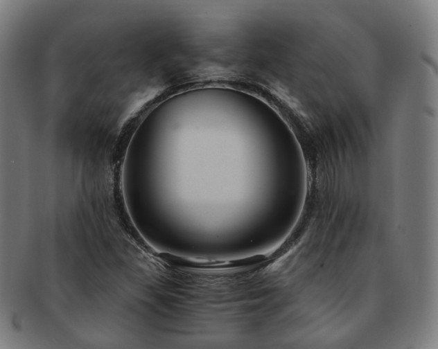 X0000091901309200709051355