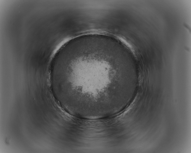 X0000091901310200709051355
