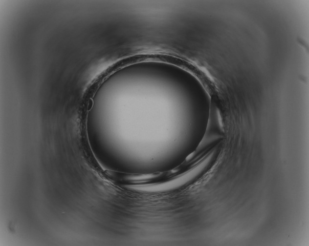 X0000091901311200709051355