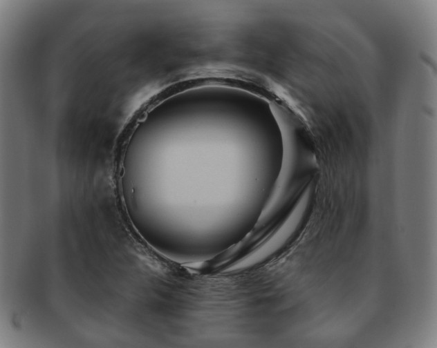 X0000091901312200709051355