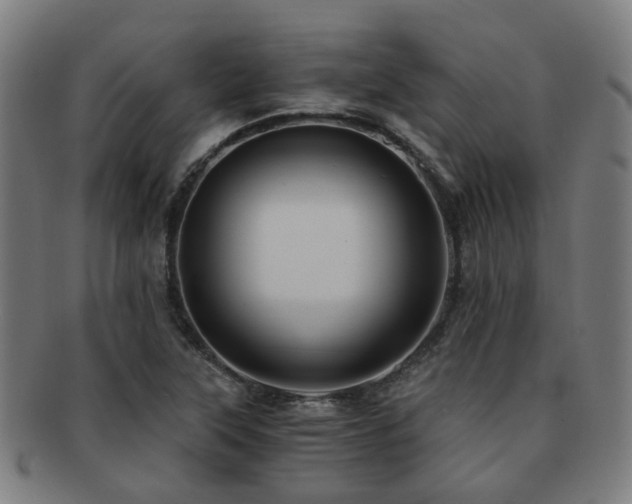 X0000091901315200709051355