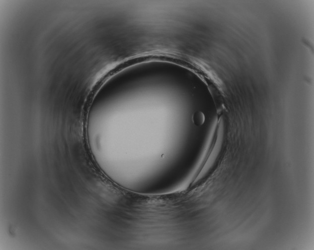 X0000091901316200709051355