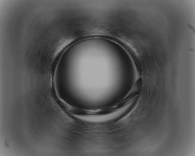 X0000091901317200709051355