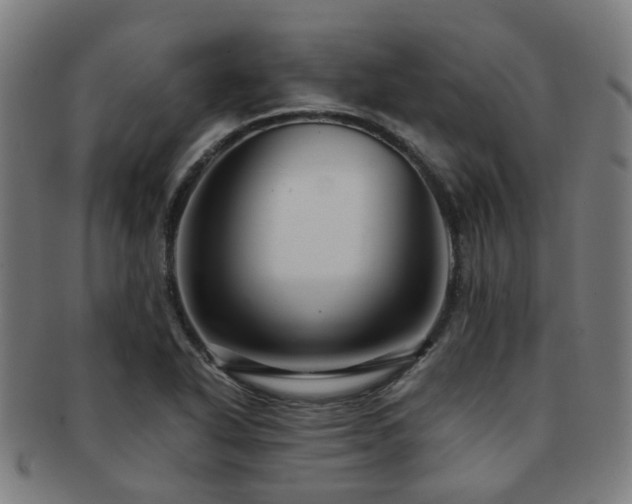 X0000091901318200709051355