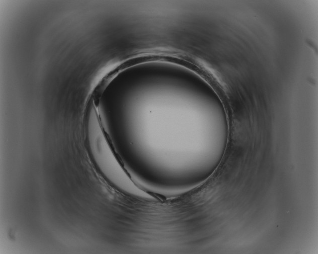 X0000091901320200709051355