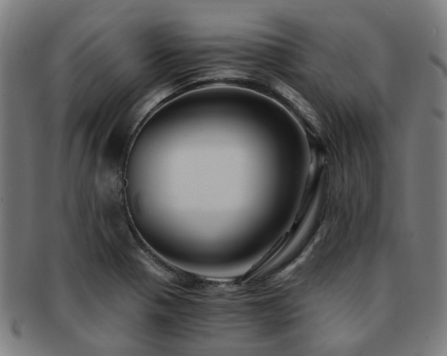 X0000091901321200709051355