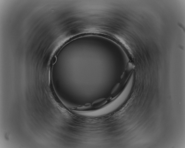 X0000091901323200709051355