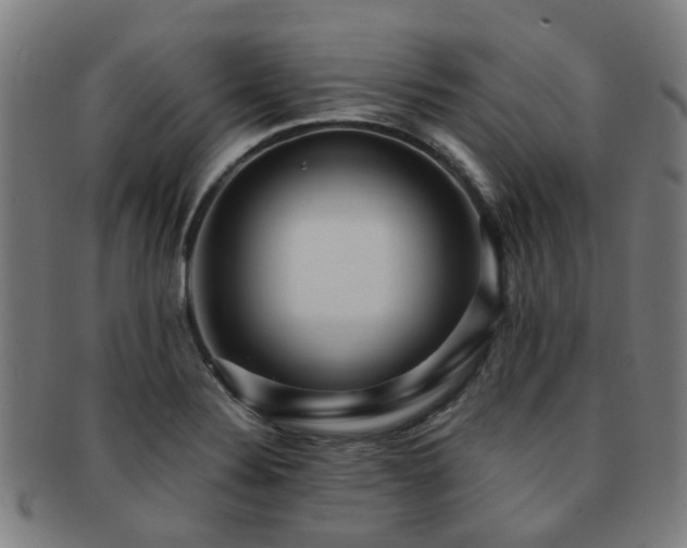 X0000091901324200709051355