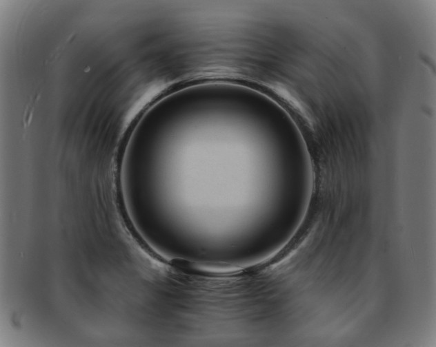 X0000091901325200709051355