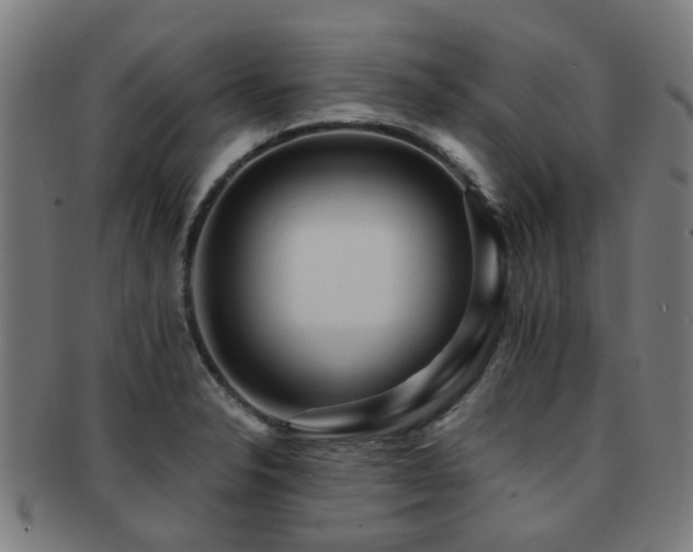 X0000091901326200709051355