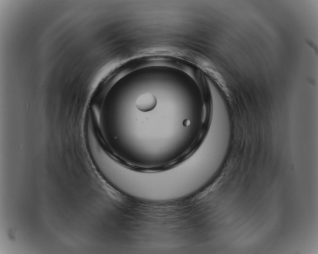 X0000091901328200709051355