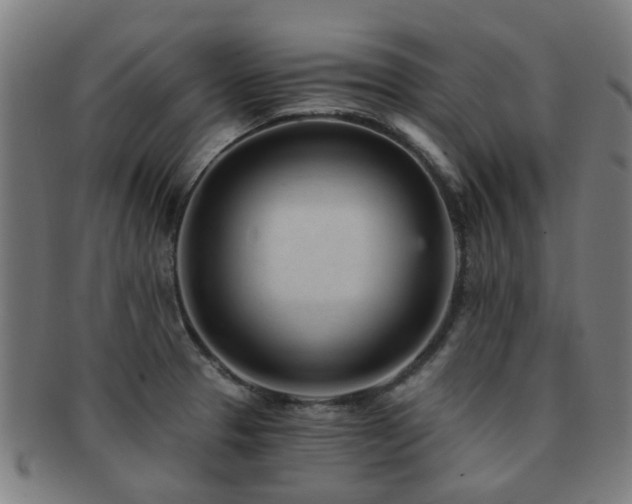 X0000091901329200709051355