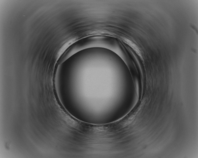 X0000091901330200709051355