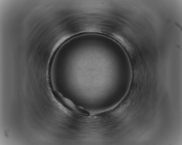 X0000091901331200709051355