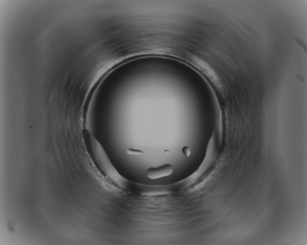 X0000091901332200709051355