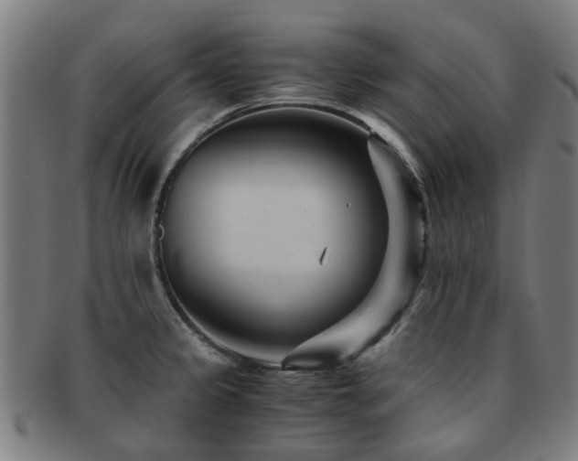 X0000091901333200709051355