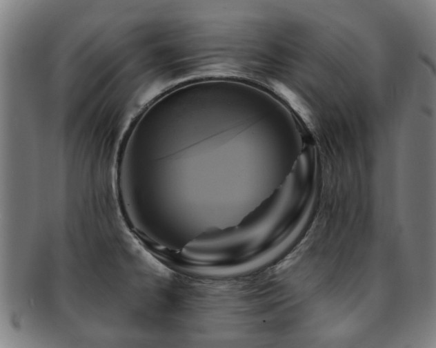 X0000091901334200709051355