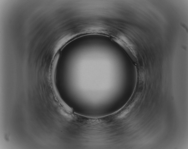 X0000091901336200709051355