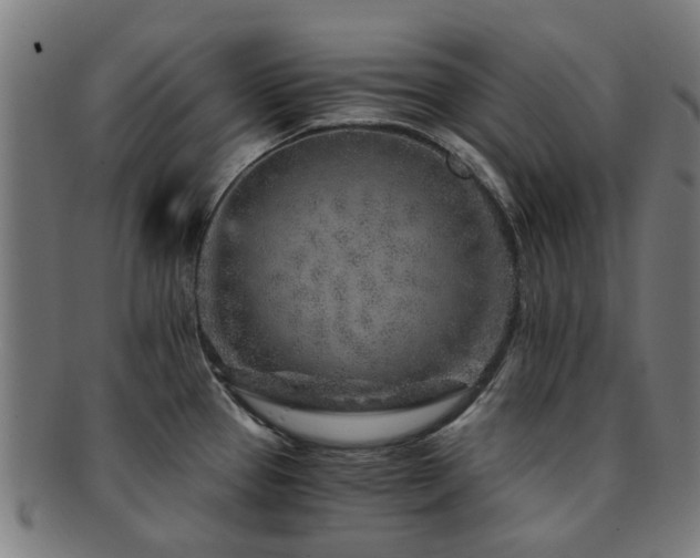 X0000091901337200709051355